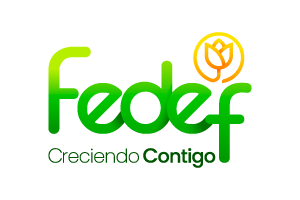 05_Logo-Fedef